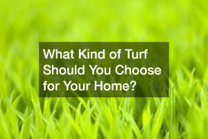 What Kind of Turf Should You Choose for Your Home?